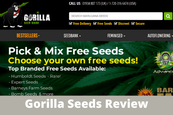 Gorilla Seeds Review