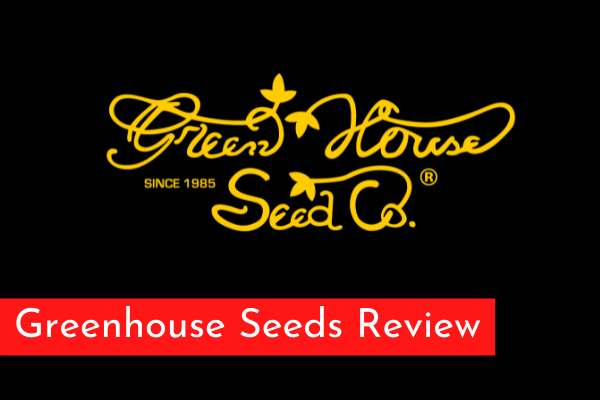 Greenhouse Seeds Review