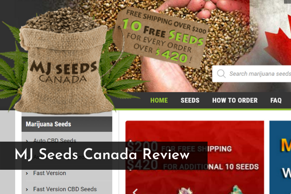 MJ Seeds Canada Review